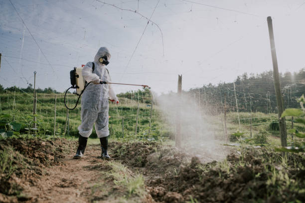 Best Pest Removal Services  in Enterprise, UT