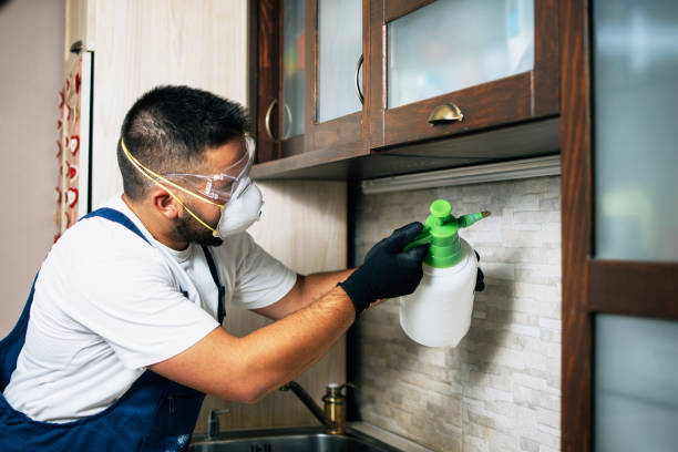 Best Bed Bug Extermination  in Enterprise, UT