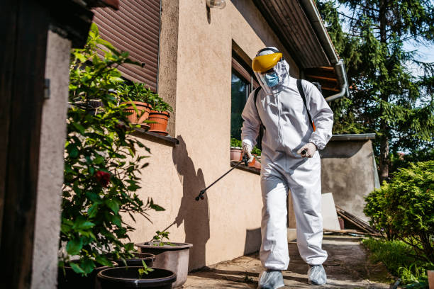 Best Mosquito Control Services  in Enterprise, UT